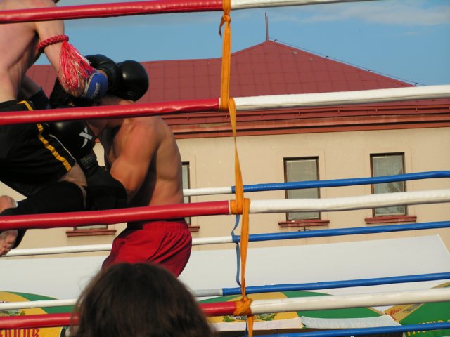 Photograph