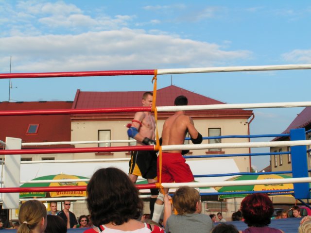 Photograph