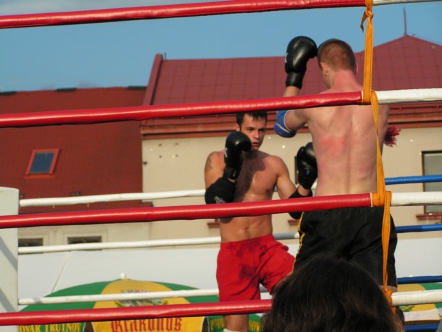 Photograph