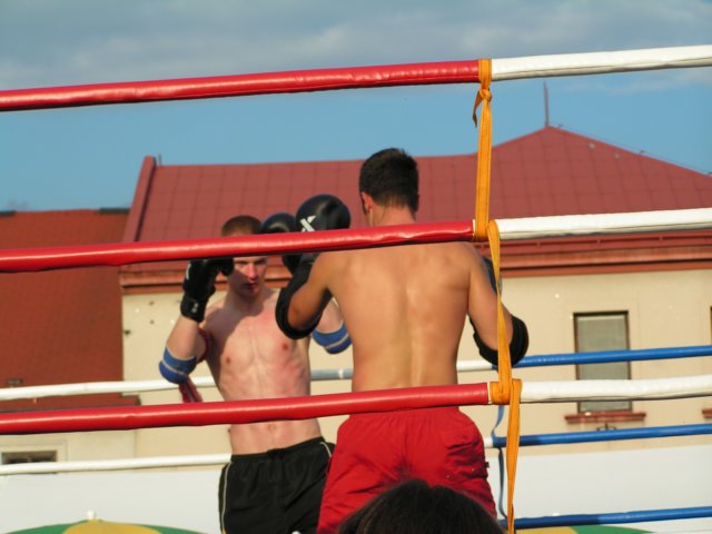 Photograph