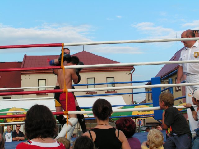 Photograph