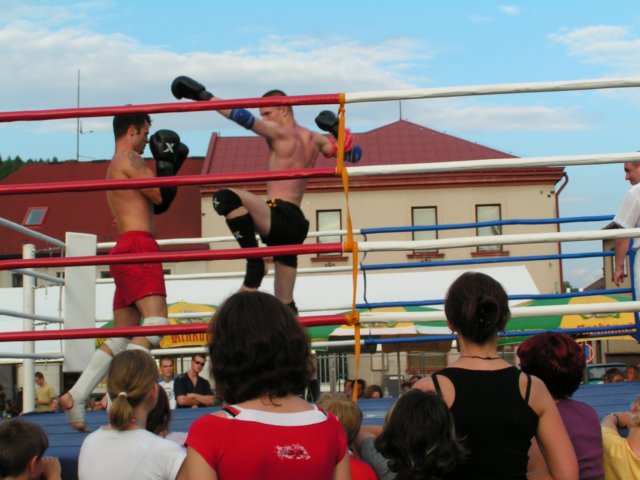 Photograph