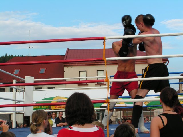 Photograph